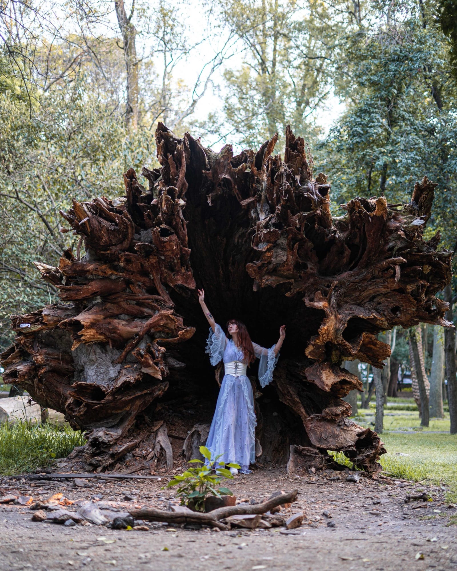 Hadas — fotografía 1331 Studio